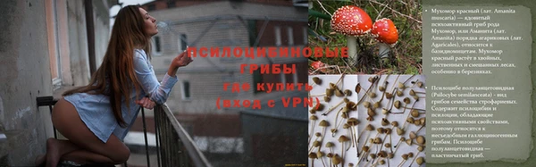 2c-b Богданович